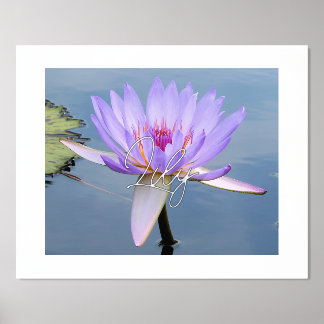 Sanfte Farben Wasserlilienfolie Textildruckposter Foliendrucke