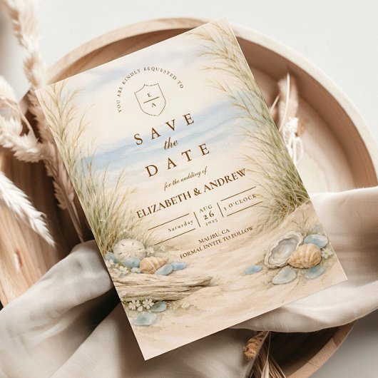 Sanfte Ozean-Braut Hochzeit Save The Date