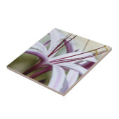 Sanfte rosa Lilienblüten Botanische Foto Kunst Fliese (Seite)