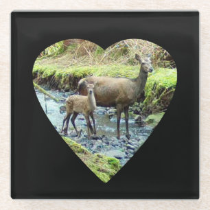 Sanfte Rothirschkuh mit Kitz Waldverbundenheit Nat Glasuntersetzer