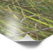 Sanfte Sommerwiese Fotodruck (Ecke)