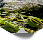 Sanfte Wasserfall Szene Ruhe natürliche Schönheit Poster (Ecke)