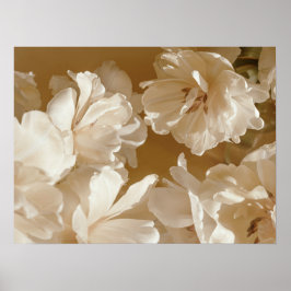 Sanfte weiße Floral Poster