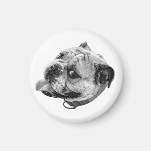 Sanfter Bulldoggen-Magnet Magnet
