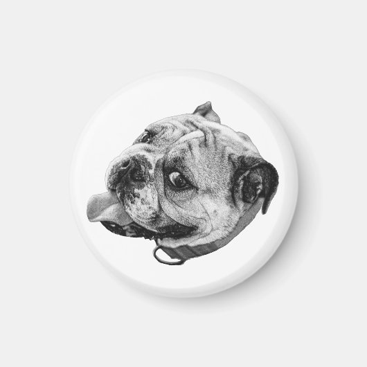 Sanfter Bulldoggen-Magnet Magnet (Vorne)