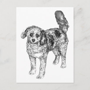 Sanfter eingefärbter Hund teilt festliche Winterfr Postkarte