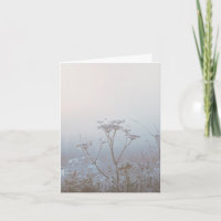 Sanfter Frostiger Morgen Natur Mitgefühl