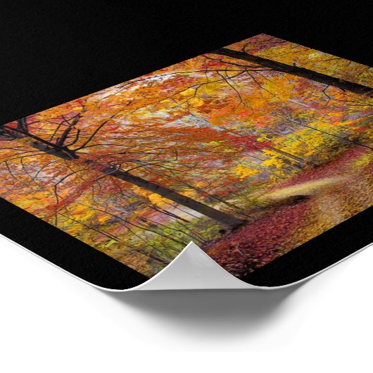 sanfter Herbstlauf Poster (Ecke)