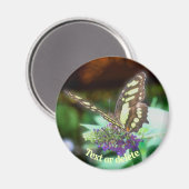 Sanfter Schmetterling auf personalisierter Blumen- Magnet (Vorderseite/Rückseite)