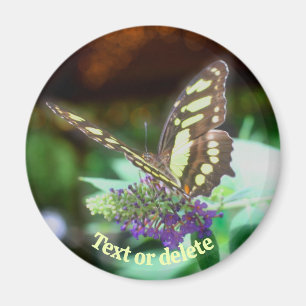 Sanfter Schmetterling auf personalisierter Blumen- Magnet