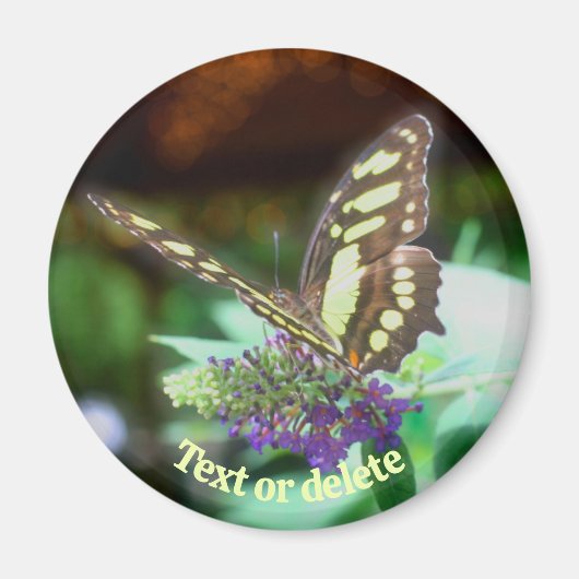 Sanfter Schmetterling auf personalisierter Blumen- Magnet (Vorne)