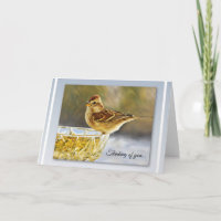 Sanfter Spatz - Denk-an-dich-Karte