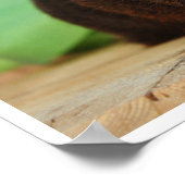 Sanftes, goldenes Agouti-Guinea-Schwein Poster (Ecke)