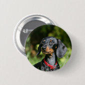 Sanfthaarige Miniatur-Dackel 3 Button (Vorne & Hinten)