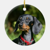 Sanfthaarige Miniatur-Dackel 3 Keramik Ornament (Hinten)