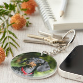 Sanfthaarige Miniatur-Dackel 3 Schlüsselanhänger (Vorderseite rechts)