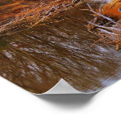 Sangamon River Near Lincolns New Salem, Illinois Poster (Ecke)