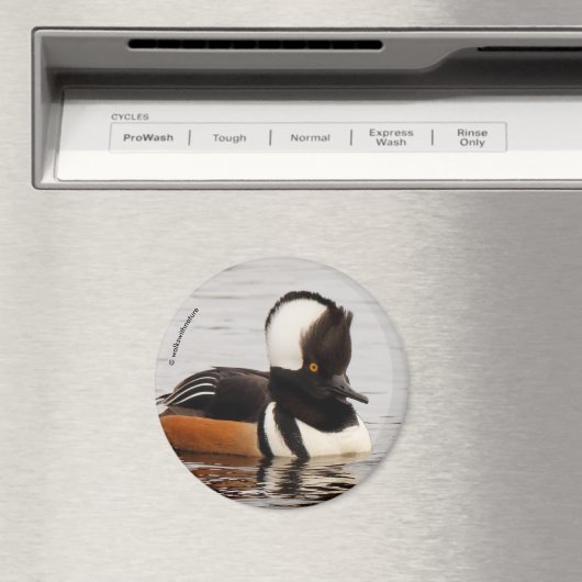 Sängerin im Making: Geheimte Merganser Magnet (In Situ (Geschirrspüler))