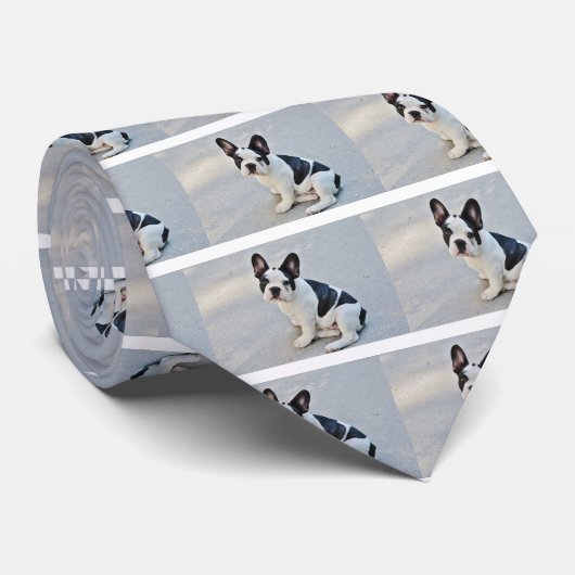 Sängerin Krawatte (Gerollt)