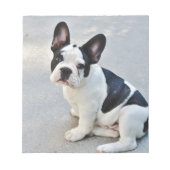 Sängerin Notizblock (Vorderseite)