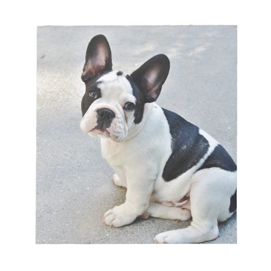 Sängerin Notizblock (Vorderseite)