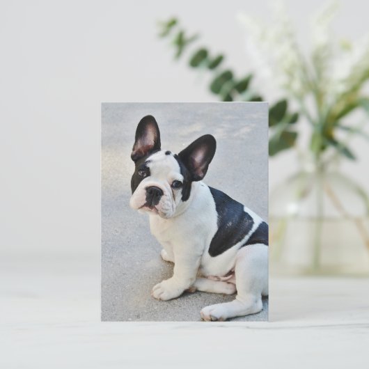 Sängerin Postkarte (Stehend Vorderseite)