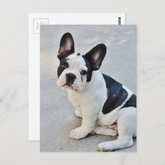 Sängerin Postkarte (Vorne/Hinten)