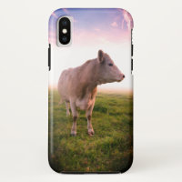 Sangria Sunset Country Cow in Pasta