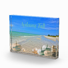 Sanibel Island Florida Beach mit Fall Pumpkins Fotoblock