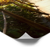 Sanibel Island Florida Beach Ocean Poster (Ecke)