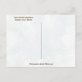 Sanibel Island Florida Lighthouse Beacon of Hope Postkarte (Rückseite)