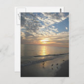 Sanibel Island, Florida Postkarte (Vorne/Hinten)