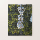 Sanibel Island Florida. Puzzle (Vertikal)