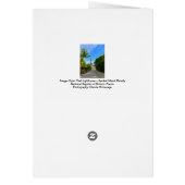 Sanibel Island Lighthouse Florida Gulf Coast Card (Hinten)