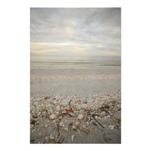 Sanibel Island Outlook Fotodruck (Vorne)