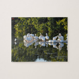 Sanibel Island Pelicans Florida Puzzle
