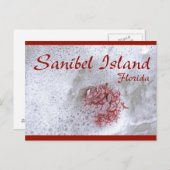 Sanibel Island Red Seaweed Postcard Postkarte (Vorne/Hinten)