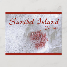 Sanibel Island Red Seaweed Postcard Postkarte