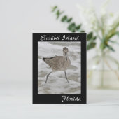 Sanibel Island Sandpiper Postcard Postkarte (Stehend Vorderseite)