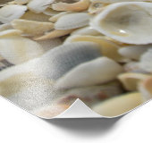Sanibel Muscheln Fotodruck (Ecke)