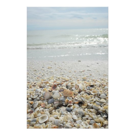 Sanibel Muscheln Fotodruck (Vorne)