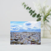 Sanibel Muscheln Postkarte (Stehend Vorderseite)