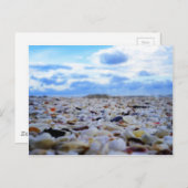 Sanibel Muscheln Postkarte (Vorne/Hinten)