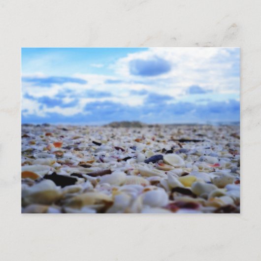 Sanibel Muscheln Postkarte (Vorderseite)