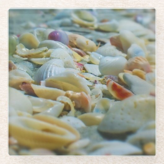 Sanibel Seashells Glass Untersetzer (Vorderseite)