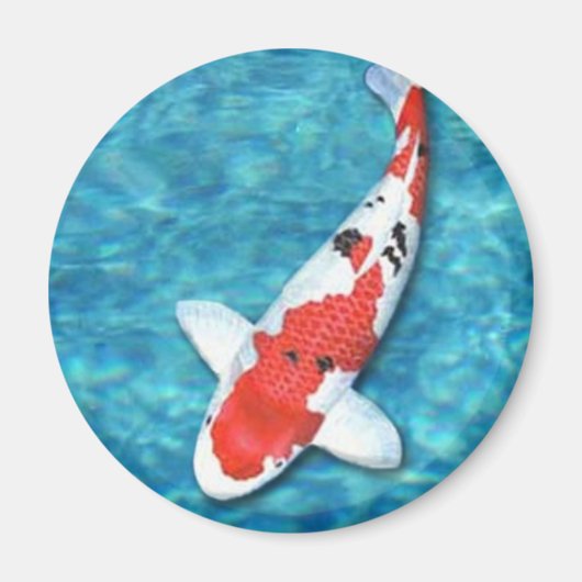 Sanke Magnet (Vorne)