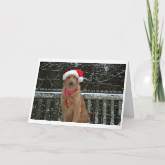 Sankt-Bär Feiertagskarte