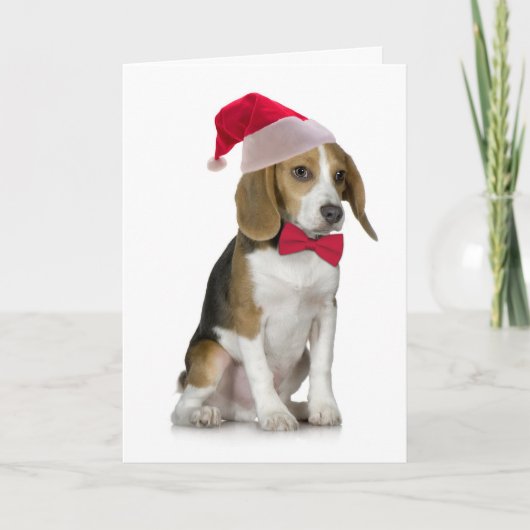 Sankt-Beagle-Weihnachtskarte Feiertagskarte (Vorderseite)