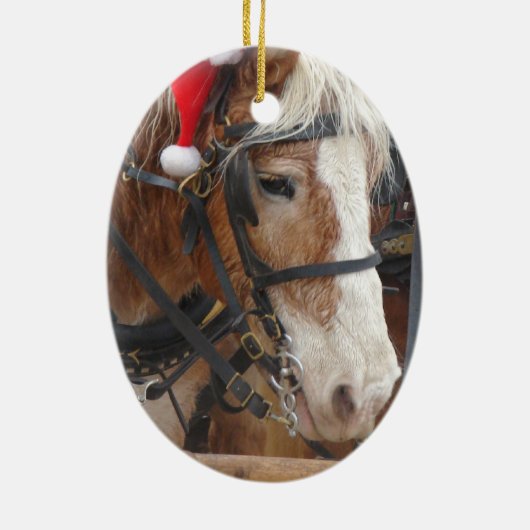 Sankt-Belgier Keramik Ornament (Hinten)