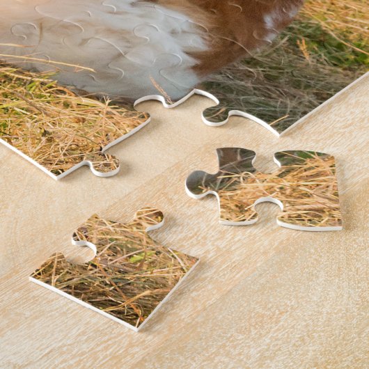 Sankt Bernard dog in the Sunset Puzzle (Seite)